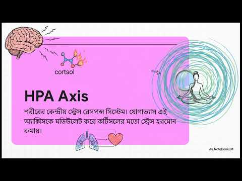 Advanced Diploma in Applied Yoga and Naturopathy - ADAYN